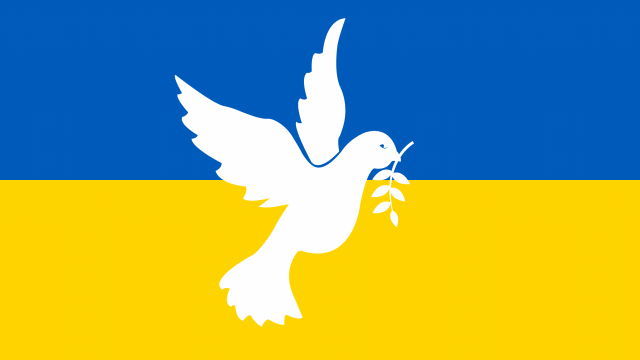 Friendenstaube vor ukrainischer Flagge